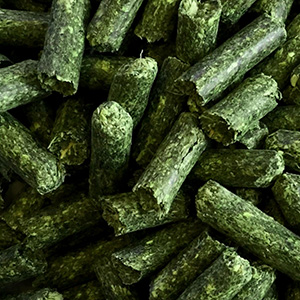 lucerna pellet